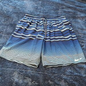 NWOT Nike Swim Trunks Large